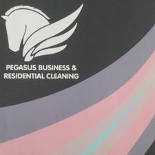 Avatar for Pegasus Cleaning Services