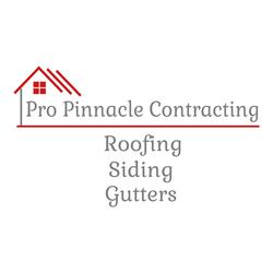 Pro Pinnacle Contracting, LLC logo
