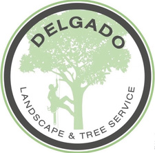 Delgado Landscape and Tree Service's logo