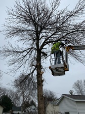 A&A lawn care and tree removal - Home  Facebook logo
