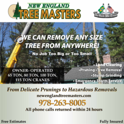 New England Tree Masters, Inc. logo