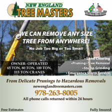 Avatar for New England Tree Masters, Inc.