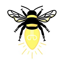Logo for Honeybee Electrical Services LLC -