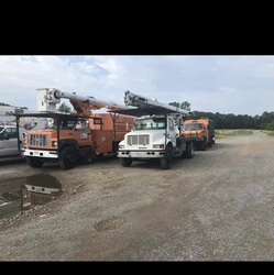 Anderson Bros Tree Service logo