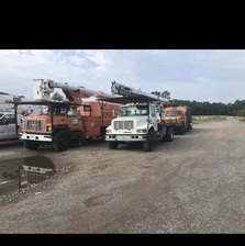 Anderson Bros Tree Service logo