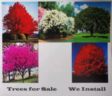 Avatar for Prime Tree Time - Home Facebook
