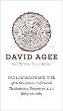 Logo for DSG Lawn and Tree - Home Facebook
