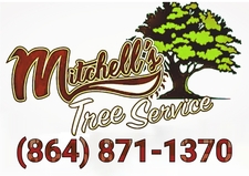 Logo for Mitchell's Tree and Landscape