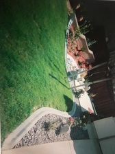 Avatar for Bravo Landscaping & Gardening