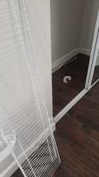 Gomez Handyman & Remodeling - Unlicensed Contractor logo