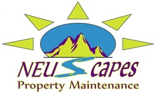 Logo for Neuscapes, LLC