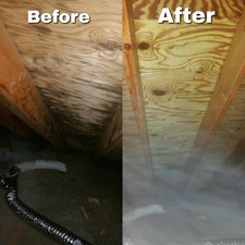 Major Mold Remediation logo