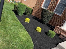 Avatar for Beltran Landscaping
