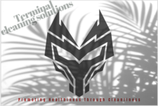 Logo for Terminal Cleaning Solutions