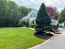 Morales Landscaping logo