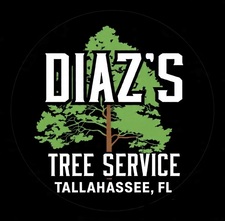 Avatar for Diaz Tree Service, LLC