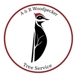 A&R Woodpeckers Tree Service logo