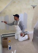 Felino Painting LLC logo
