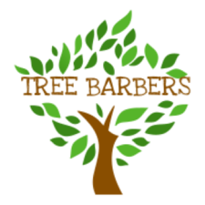 Logo for 5 Star Tree Service