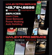 Wyley's Pro Service logo
