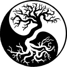 Logo for Inner Roots, LLC