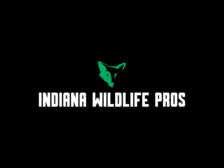 Avatar for Indiana Wildlife Pros