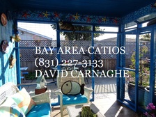 David Carnaghe logo