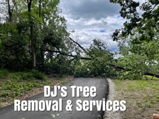 Avatar for DJ's Tree Removal & Services