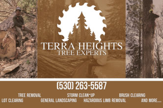 Terra Heights Landscaping logo