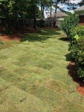 Avatar for Beck's Lawn Care and More, LLC