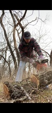 Sage Lawn & Landscape, LLC logo