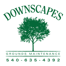 Downscapes logo