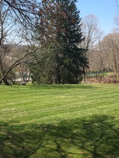 Bill's Lawn Care logo