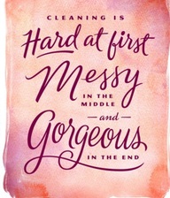 Merely Immaculate Residential Cleaning Service logo