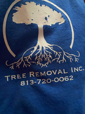 Tree Removal logo