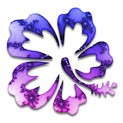 Hibiscus Pool & Spa Service and Repair logo