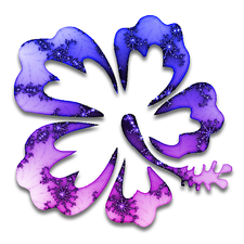 Avatar for Hibiscus Pool & Spa Service and Repair