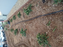 Avatar for WB Irrigation & Lawn Care