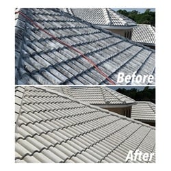 Affordable Roof Cleaning logo