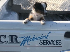Avatar for CR Mechanical Services, LLC