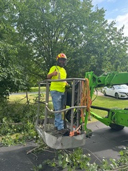 Just The Tree Guy, LLC logo