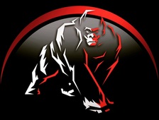 Logo for Silverback Powerwash, LLC