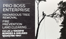 Pro Boss Enterprise logo