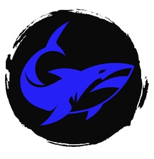 Blue Shark Pools, LLC logo