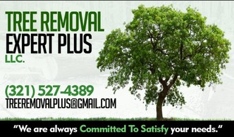 Tree Removal Expert Plus, LLC logo