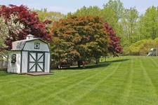 Avatar for Lawnscape Solution, LLC
