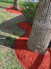 Avatar for Matias Landscaping
