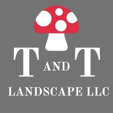 Avatar for T and T Landscape, LLC