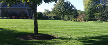 Avatar for Fusion Landscape & Construction - Facebook