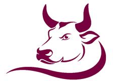 Turnbull Roofing & Restoration logo